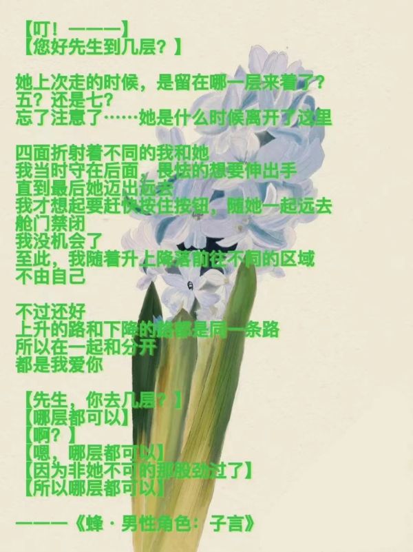 槽点剧本