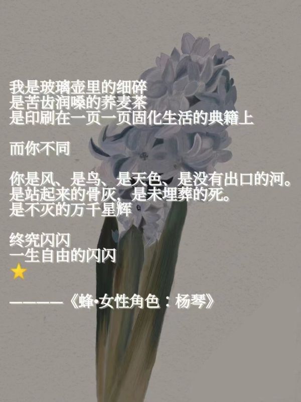 槽点剧本
