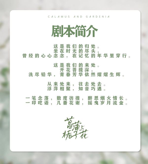 槽点剧本