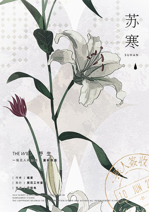槽点剧本