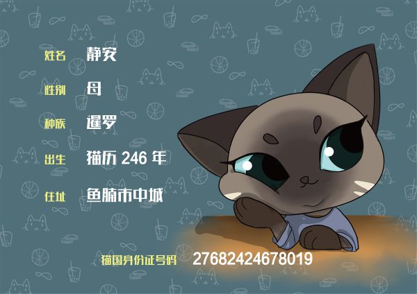槽点剧本